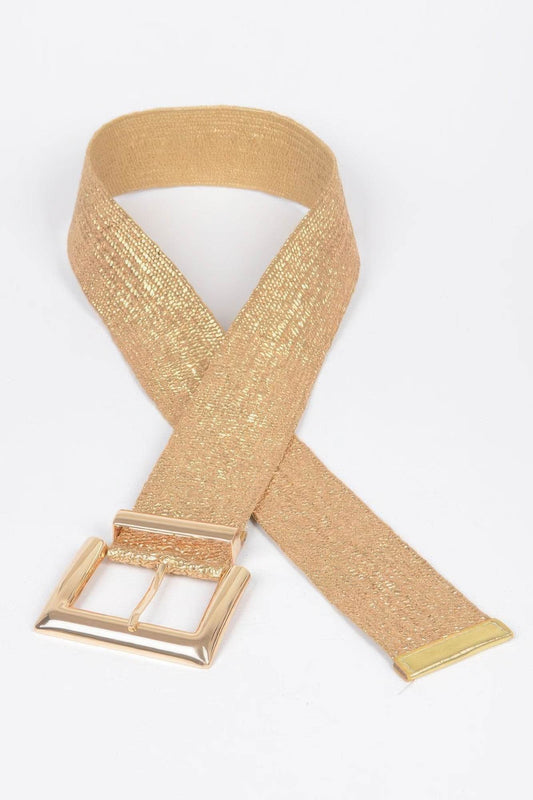 Clear Pvc Metal Buckle Belt - Lola Diva's Boutique